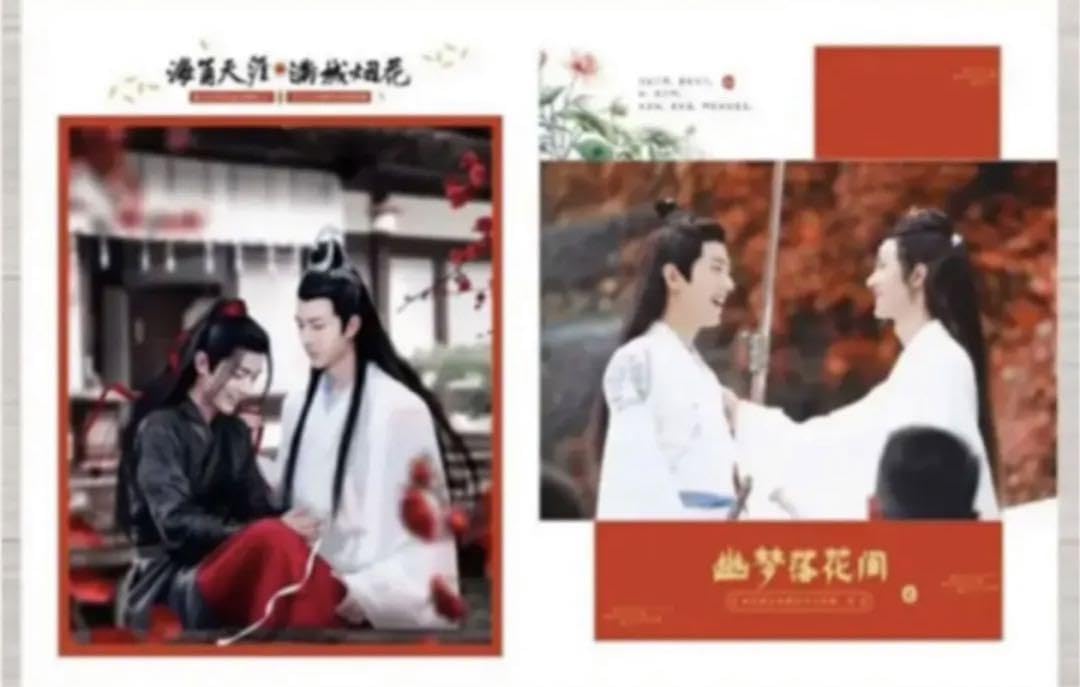 Amazon.co.jp: 中国ドラマ 陳情令 the untamed 肖戦 王一博 限定