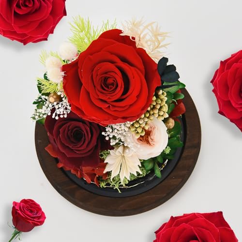 Gifts-for-Women-Rose-Fresh-Flowers-in-Glass-Dome-with-LED-Light-Real-Roses-Gifts-for-Wife-Sister-Girlfriend-on-Mother-Day-Birthday-Valentine-Day-red