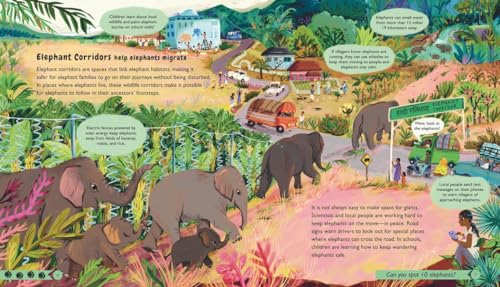 Wildlife Crossings: Protecting Animal Pathways Around the World - Image 2