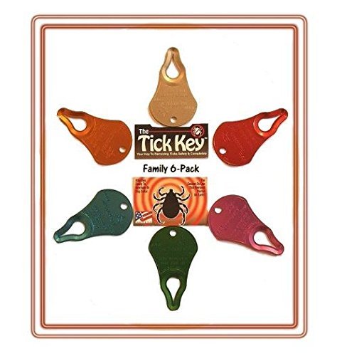Tick Key - Tick Removal Tool - 6 Pack