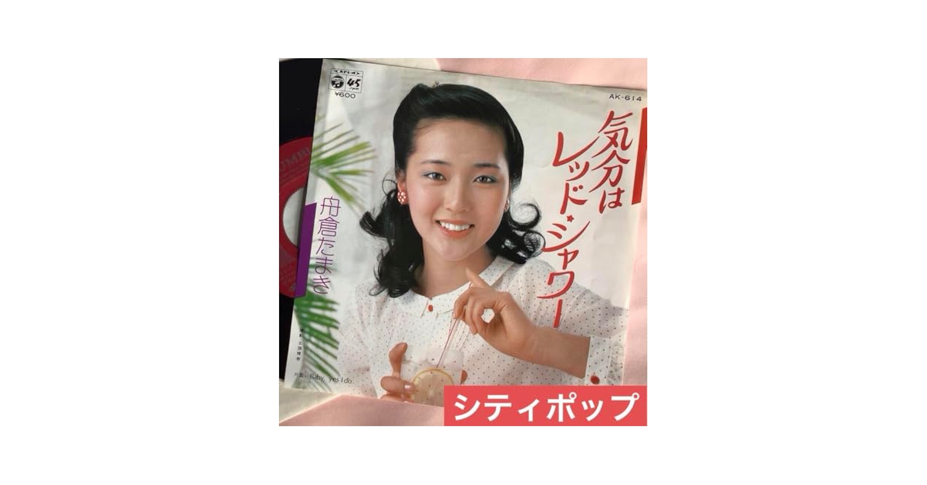 売り切り！ 林哲司 貴重本３冊まとめて 特典付き シティポップ 林哲司のポップス作曲法 改訂新版 (リットーミュージック) | 林