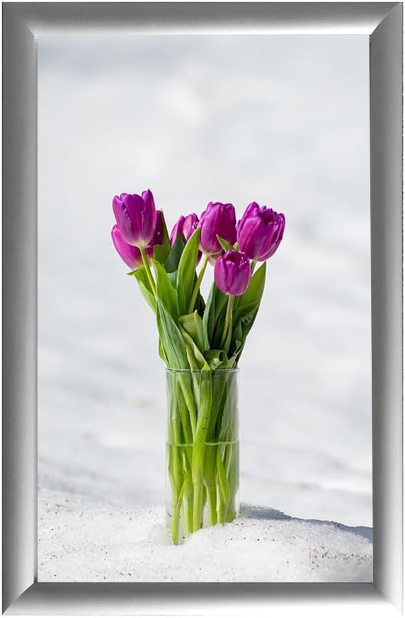 Alpina Manufacturing 24x36 Silver Aluminum Snap Frame