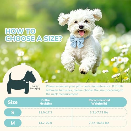 Collar para perro terciopelo azul talla S ajustable miniatura 2