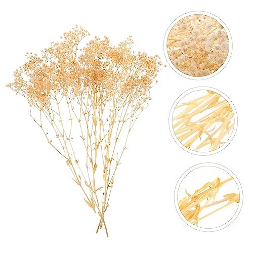 Ramo decorativo de gypsophila seca blanca 40g miniatura 4
