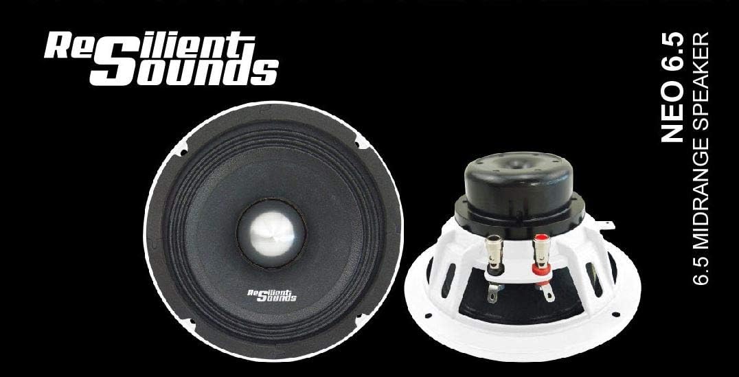 Resilient Sounds Neo 6.5 midrange 250RMS/500WATT MAX