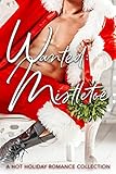 Wanted: Mistletoe - A Hot Holiday Romance Collection (English Edition)