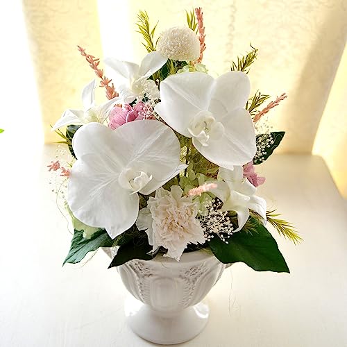 vU[uht[ Ӓ Mtg[] P[X 傤  R`E _ a    j  a j   t[