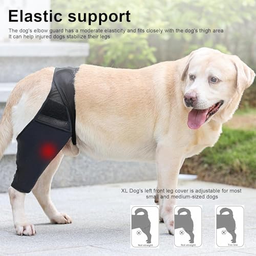 HSUYUN XL Leckschutz Hund Hinterbein, Verstellbar Leckschutz Hinterbein Hund, Schwarz Hunde Kniebandage Hinterbein, für Unterstützung und Schutz der Vorder- und Hinterbeine von Hunden