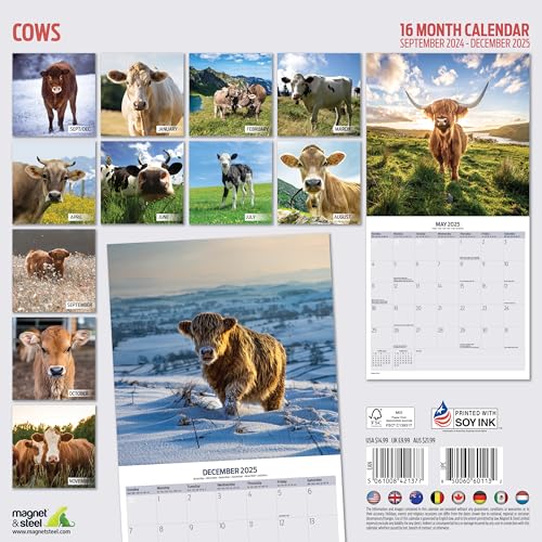 Cows 2025 Calendar, Various - Image 2