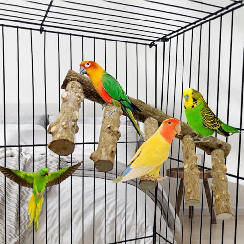 Image of Parrot Wood Stand,10 Inch Long Bird Cage Wood Perch Toys, Natural Bird Ladder for Small & Medium Parrots, Monk Parakeets, Cockatiels,Sun Conure, Green Cheeks, Lovebirds,Budgie