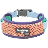 Blueberry Pet Vibrant Mesh Padded Ultra Cool Lightweight Dog Collar for Large Dogs, Mint & Coral, Neck 18