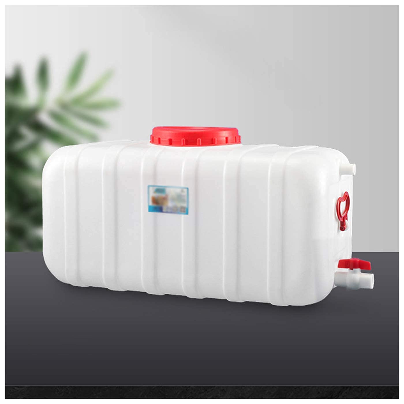 Serbatoio dell'acqua in plastica Serbatoio dell'acqua all'aperto da campeggio 45L Contenitore dell'acqua per campeggio e trekking Serbatoio dell'acqua multifunzionale Serbatoio dell'acqua per acqua fr