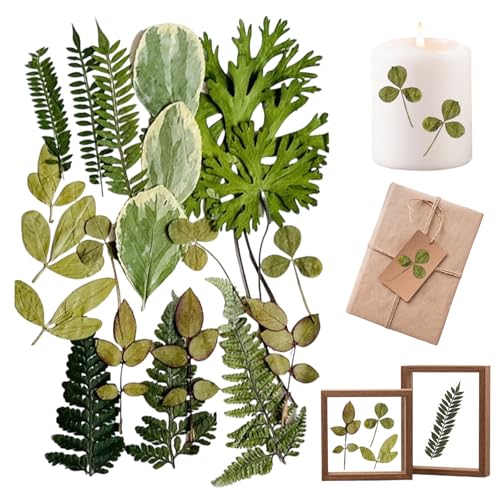 Real Dried Pressed Leaves, 21P CSNatural Dried Leaf, Natural Dry Leaves for DIY Jewelry Candle Soap Vase Making Nail Card Scrapbook Art Craft Floral Decors(7 Styles)