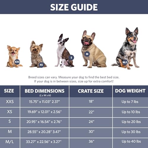 image for MidWest Homes for Pets QuietTime Fashion Dog Bed – Blue Faux Fur Bol