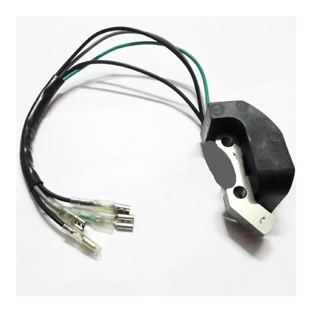 Ignition Coil With Magneto Suitable for ET950 ET650 IE45 TG950 450W 650W 800W 950W 1000W 2 Stroke Generator(As show)