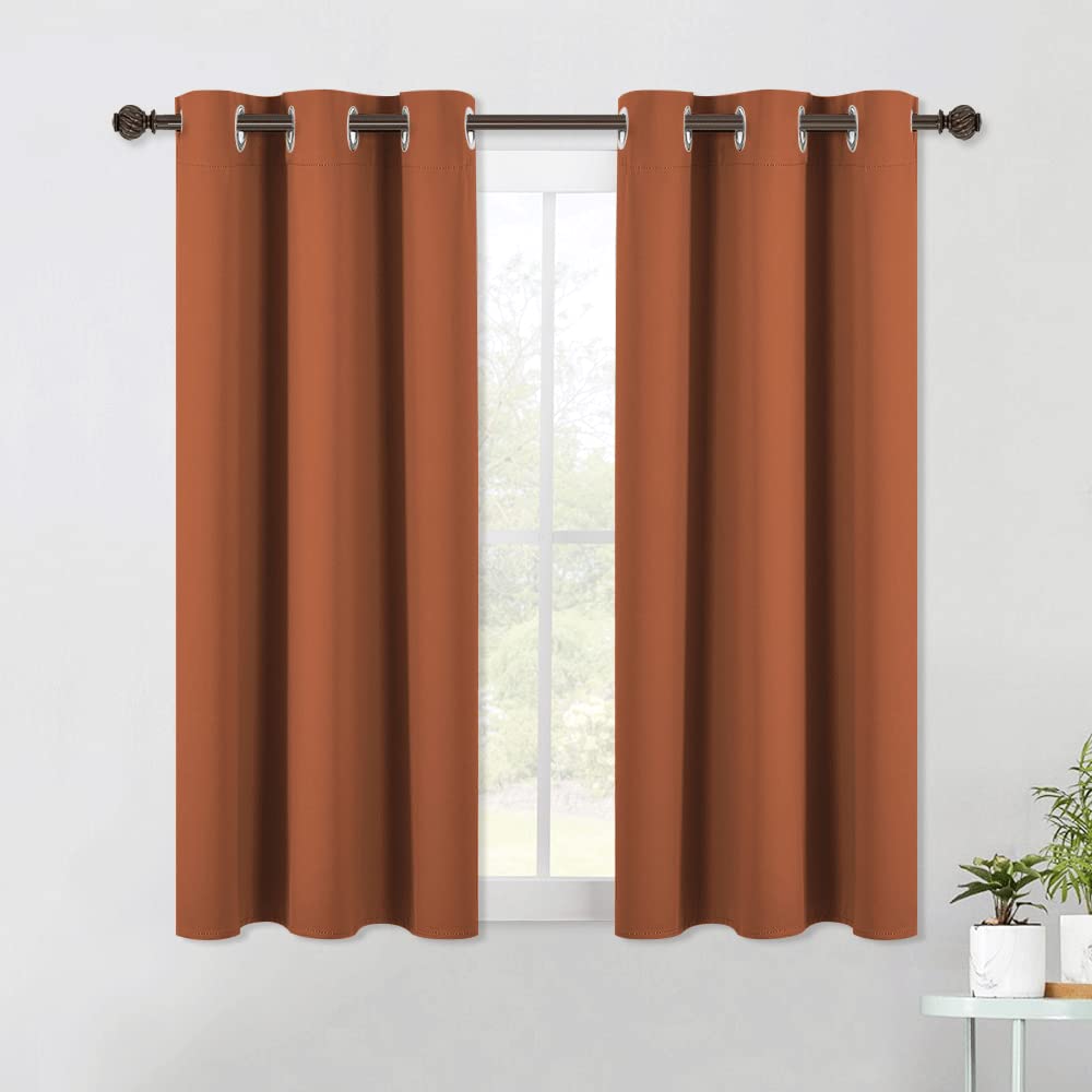 NICETOWN Modern Blackout Curtains Noise Reducing, Thermal Insulated and Privacy Room Darkening Drape Panels for Boy's Guest Room Door Small Window (Burnt Orange, 2 Panels, W42 x L54 -Inch)