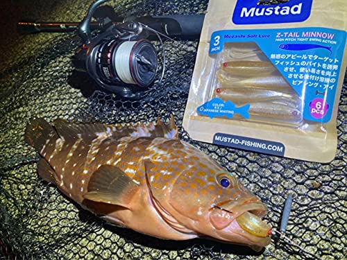 マスタッド(Mustad) ワーム メザシ Zテールミノー 3インチ トランスペアレントレッド MZTM-TR-3-6 5枚目