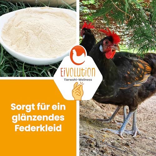 Eivolution 2kg Premium Bierhefe für Hühner: Mauserhilfe, reich an Vitaminen & Mineralstoffen - Multivitamin-Zusatz für Hühner und Nutztiere