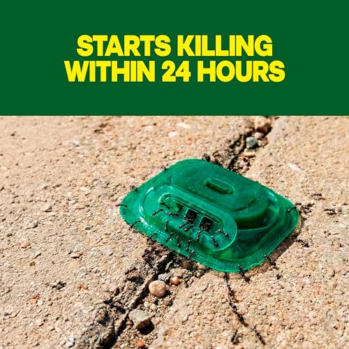 Image of Raid Outdoor Liquid Ant Bait, Starts Killing Listed Ants Within 24 Hours, Effective Outdoors, Pre-Filled and Ready-to-Use, 8 Bait Stations Per Pack, 2 fl oz