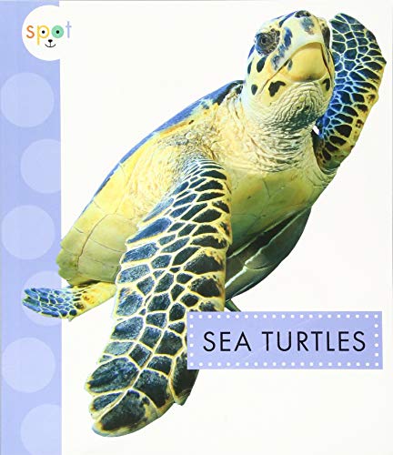 Preisvergleich Produktbild Sea Turtles (Spot Ocean Animals)