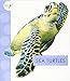 Produktbild Sea Turtles (Spot Ocean Animals)