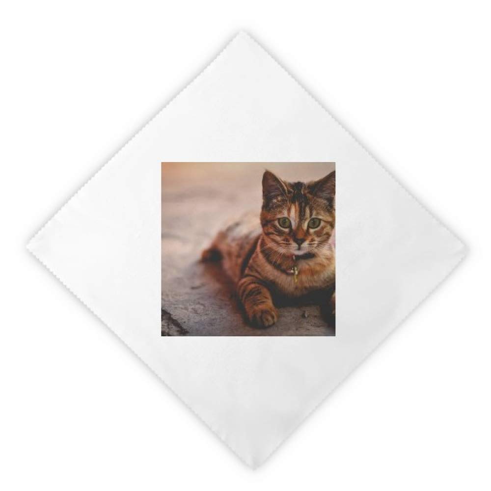 Servilletas de tela reutilizables lavables con estampado de gato para almuerzo