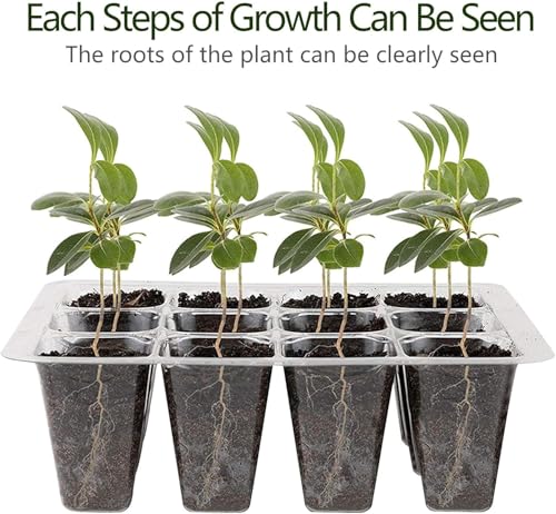 12-Set Seed Starter Kit with Humidity Dome - 50% Off