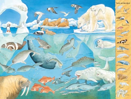 Riesen-Wimmelbuch: Das Riesen-Tiere-Wimmelbuch: Übergroßes Buch für Kinder ab 2 Jahren