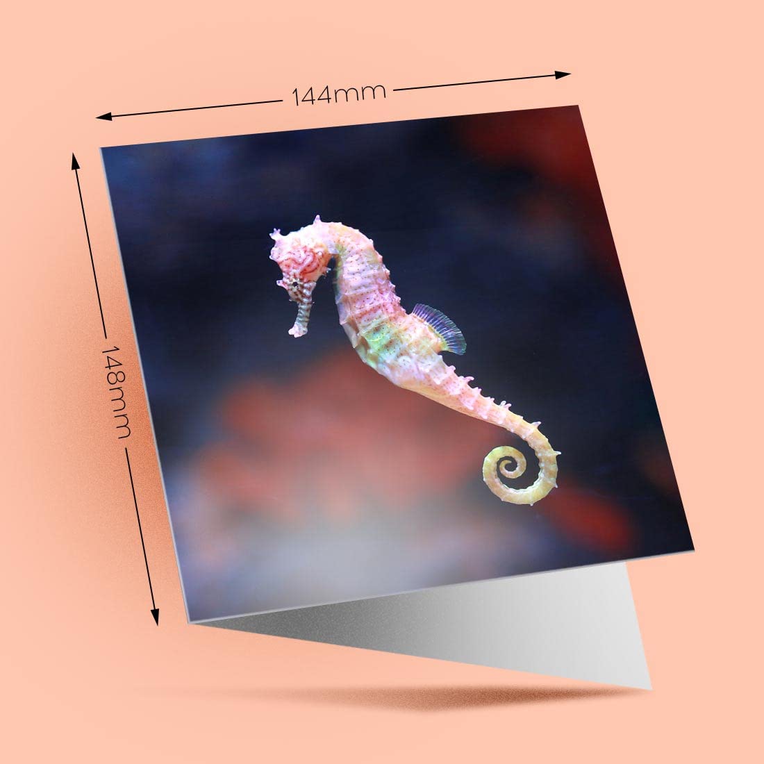 Carte De Vœux Hippocampe Avec Enveloppe Pour Toutes Les