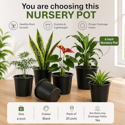 Image of Plastic Flower Pots 6 Inch | Black Nursery Plant Pots for Indoor & Outdoor Gardening | Lightweight, Durable Pots with Drainage for Seeds, Succulents & Saplings | Pack of 10