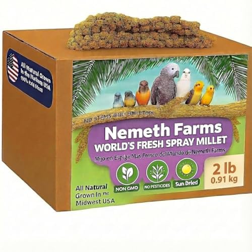 USA Grown Spray Millet for Birds – Midwest Harvest, 2 lbs Premium 100% Natural, Sun-Dried Non-GMO Whole Millet Sprays, Bird Treat for Parakeets, Budgies, Cockatiels, Conures, Lovebirds & Finches