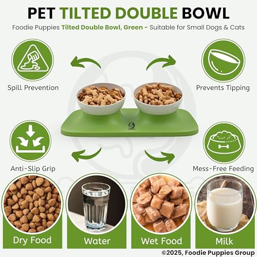 Image of Foodie Puppies Cat Food Bowl with Stand - (Green, 500ml Each) Double Food and Water Drinking Feeder Bowl with Non-Skid Base and Easy-to-Clean Design | Suitable for Cats, Puppies and Small Dogs