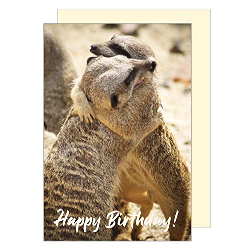 Edition Seidel Carte De Vœux D'anniversaire XXL Avec Enveloppe Format A4 - Carte De Vœux - Carte De Vœux - Billet - Homme Et Femme - Suricate (A4-G3129