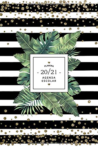 Agenda Escolar 2020 2021: Planificador semanal 2020 2021 agosto 2020 - julio 2021 - Planner Organizador semanal Agenda semana vista Agendas, Calendario, Planificador mensual (Spanish Edition)