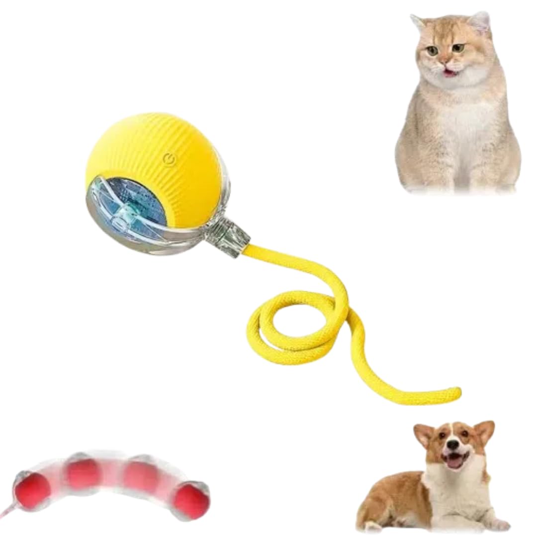 QITELL Interactive Cat Toy 2025 New Cat Toys for Indoor Cats, Kitten Toys for Bored Indoor Cats/Dogs (Yellow)