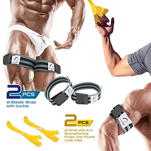 Occluband BFR Bands, Occlusion Bands, Arm Bands, Blood Flow Restriction Bands, Training Bands