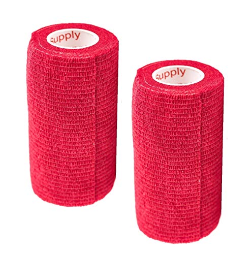 bドbve[v()(2pbN)(3C` x 15tB[g)ȔSSSSSSSSSSSуObv[  L ybg n