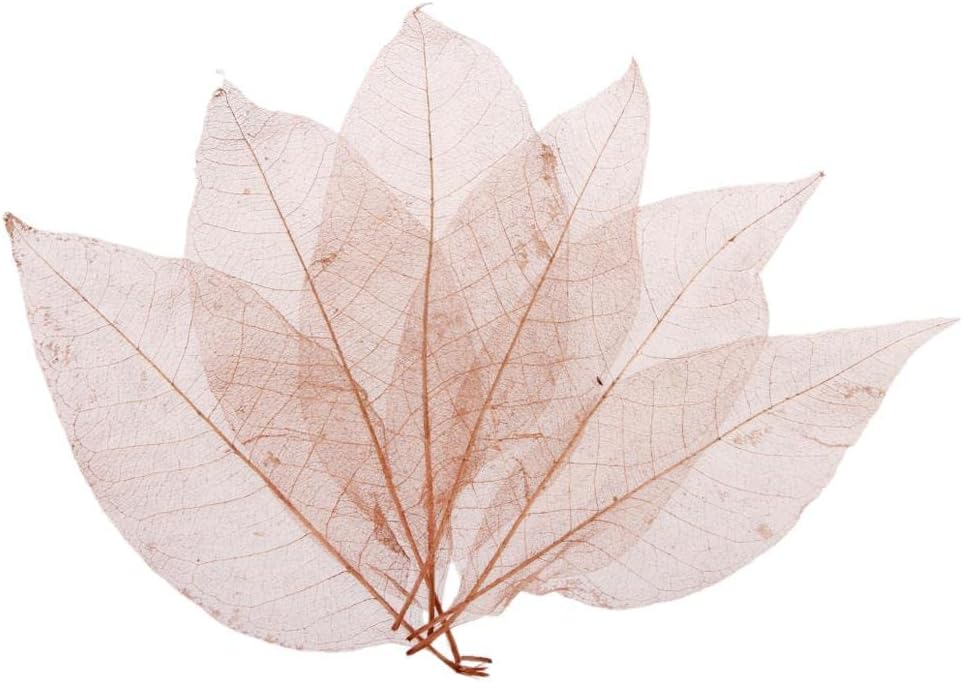 Fityle 50 Pieces Real Dried Real Skeleton Leaves Embellishment for Wedding Decor Home Ornaments Resin Casting Crafts DIY Bookmarks (Coffee)