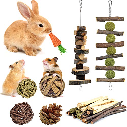 KATUMO Bunny Chew Toys, 100 Natural Apple Wood Chinchillas Guinea Pigs