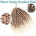 8 Inch Short Passion Twist Hair 6 Bundles Marlybob Crochet Hair Kinky Curly Crochet Hair for Black Women (27#/613#, 6Bundles8 Inch)