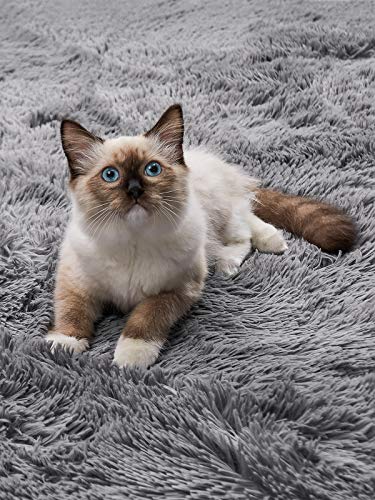 image for OhGeni Machine Washable Area Rug for Bedroom, Living Room, Dorm Room, 