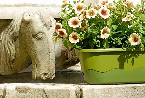 Plastia s.r.o. Blumenkasten Bewässerungskasten 'Mareta' 60 u. 80cm mit Selbstbewässerung, Farbe:Hell- und dunkelgrün, Größe/Durchmesser:60 cm
