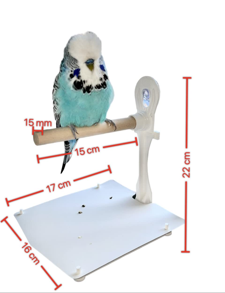 2 Posatoi Per Uccelli Con Ventose - Trespoli Regolabili Per Pappagallini, Da Attaccare Su Vetri O Superfici Lisce - Foto 3