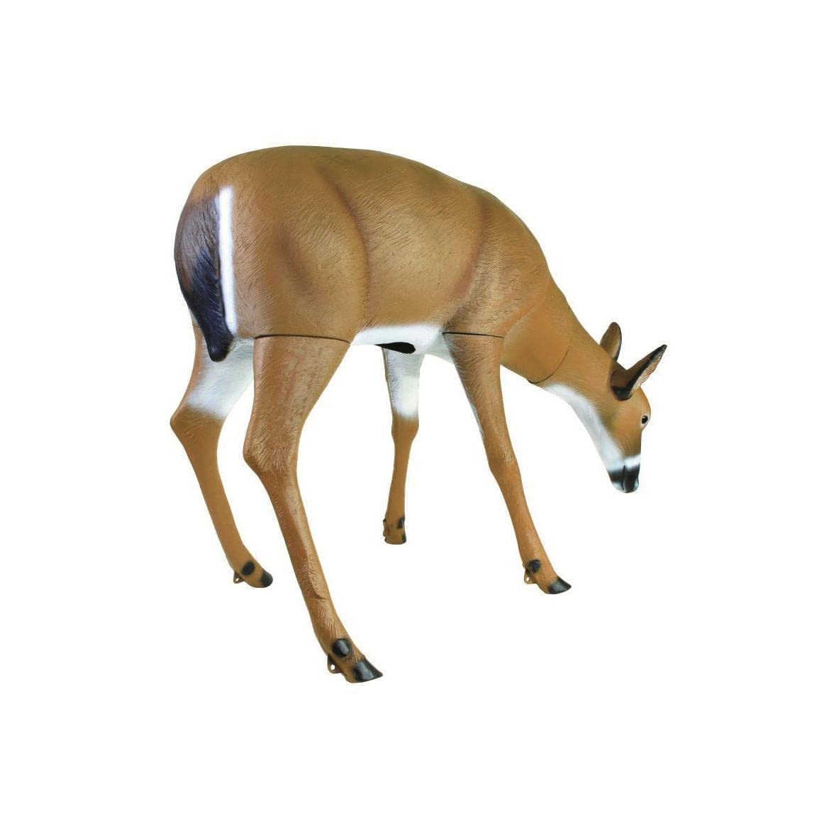Flambeau In Piedi - Doe Decoy