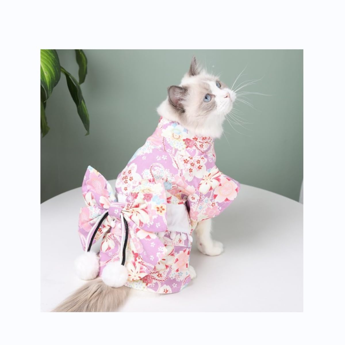 Amazon | Molioon ペット服 和風 着物 浴衣 蝶結び 犬服 猫服 小型猫犬