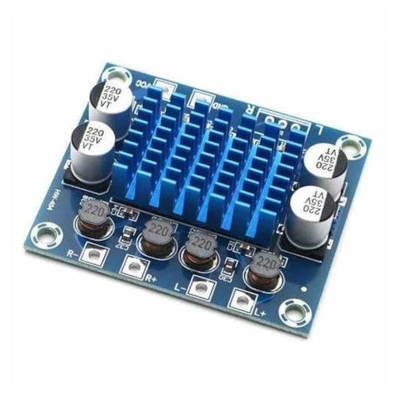 SANEC TPA3110 2x30W Streo Çift Kanal Amfi Devresi XH-A232