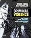 Criminal Violence: Patterns, Explanations, and Interventions