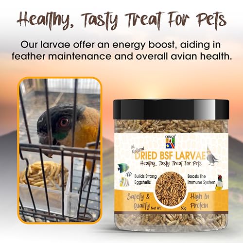 Congo-BSF-Dry-Larvae-50g-High-Protein-Treat-for-Fish-Birds-Turtles-Tortoise-and-Other-Pets-50g