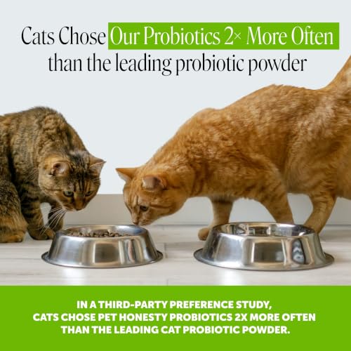 Image of Cat Probiotics Crunchy Creamy Chews for Digestive Health - Cat Constipation + Occasional Diarrhea Relief - Daily Probiotics for Cats with Prebiotics Fiber Gut Flora Sensitive Stomach (90-Day Supply)