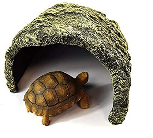 OMEM Trou d'évasion pour reptiles - Augmente la hauteur - Processus de résine - Simulation de...